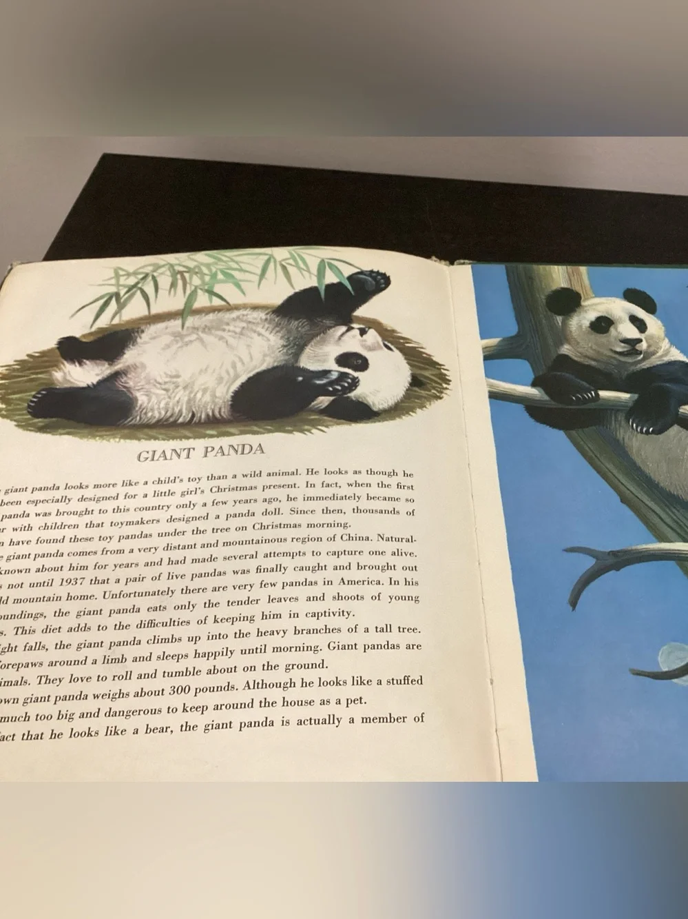 Vtg.Children’s Hardcover book Titled The Big Book of Wild Animals by Felix Sutto